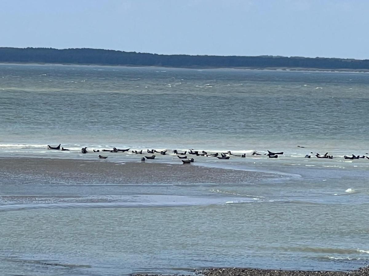 Plage A 50M Appartement Reves Tranquilles Villa Les Bains De Mers Kültér fotó